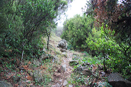 Cami de Banyuls a Portbou